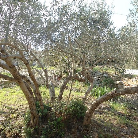 קאלי Apartment Bella Vista מראה חיצוני תמונה