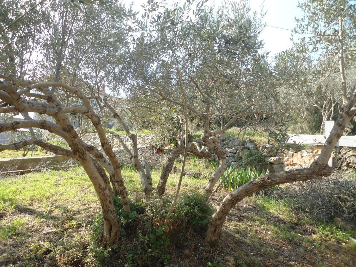 קאלי Apartment Bella Vista מראה חיצוני תמונה